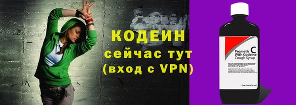 дурь Арсеньев