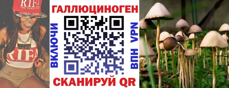 Галлюциногенные грибы GOLDEN TEACHER купить сайты Ростов