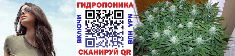 Шишки марихуана семена  где найти   Ростов 